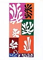 3 Matisse fleurs de neige